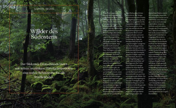Produktbild: Wild Guide Deutsche W&auml;lder
