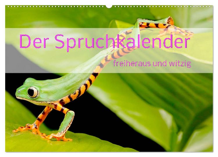 Produktbild: Der Spruchkalender - freiheraus und witzig (Wandkalender 2026 DIN A2 quer), CALVENDO Monatskalender