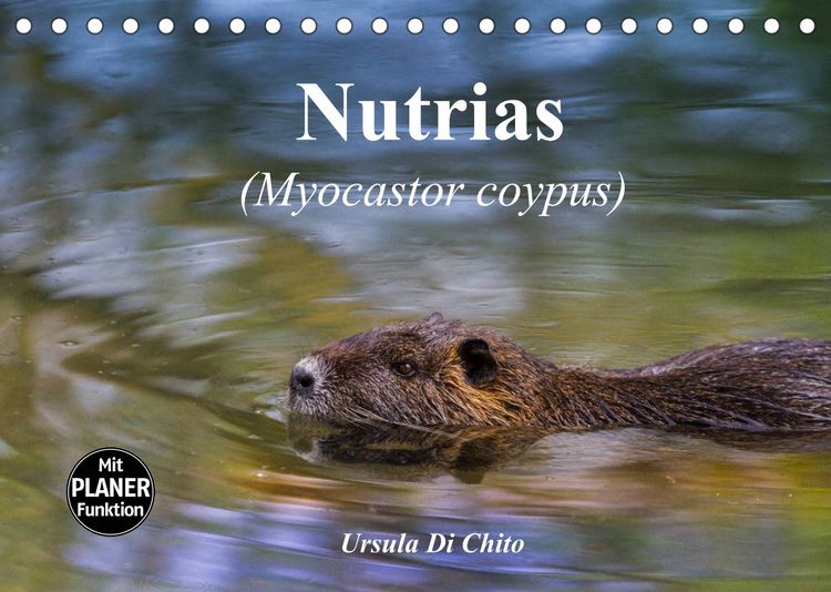 Produktbild: Nutrias (Myocastor coypus) (Tischkalender 2022 DIN A5 quer)
