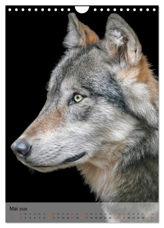Produktbild: Tiere - K&ouml;pfe mit Charakter (Wandkalender 2026 DIN A4 hoch), CALVENDO Monatskalender