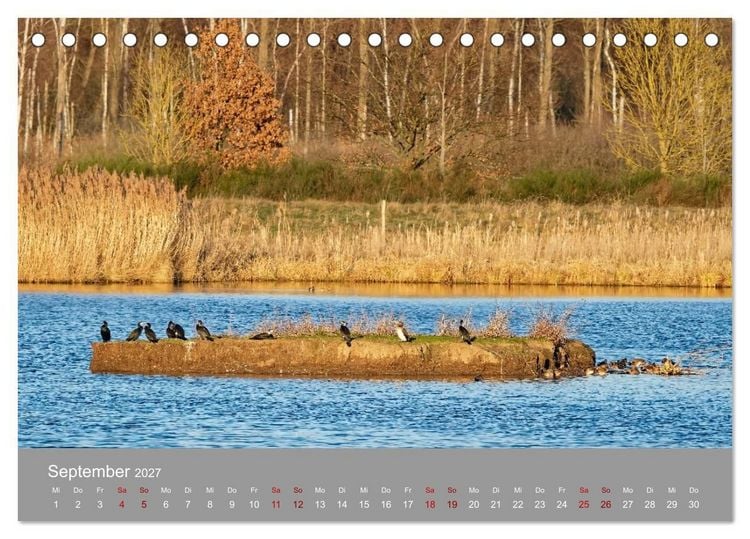 Produktbild: Naturerlebnis im Biosph&auml;renreservat Dr&ouml;mling (Tischkalender 2027 DIN A5 quer), CALVENDO Monatskalender