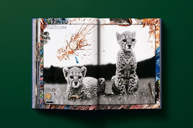 Produktbild: Peter Beard