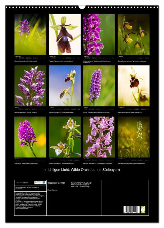 Produktbild: Im richtigen Licht: Wilde Orchideen in S&uuml;dbayern (Wandkalender 2026 DIN A2 hoch), CALVENDO Monatskalender