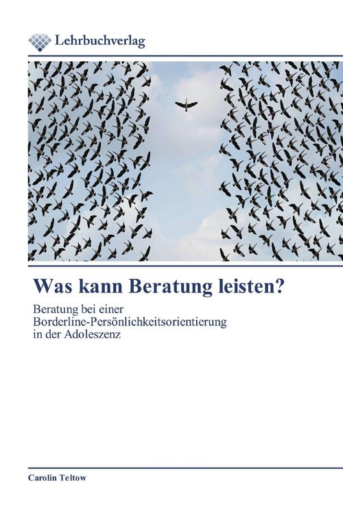 Produktbild: Was kann Beratung leisten?