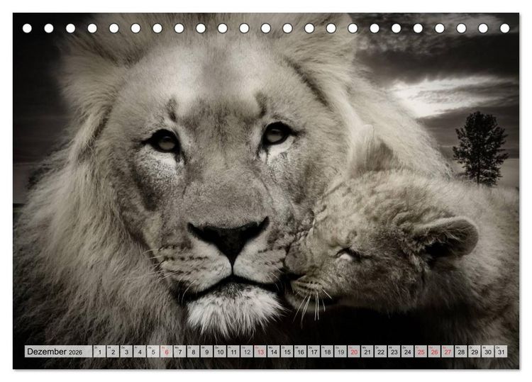 Produktbild: Wilde Tiere in schwarz-wei&szlig; (Tischkalender 2026 DIN A5 quer), CALVENDO Monatskalender