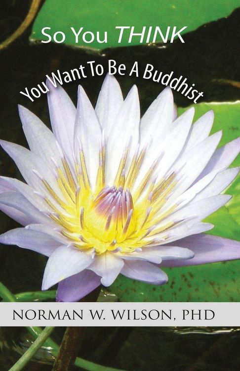 Produktbild: So You Think You Want To Be A Buddhist