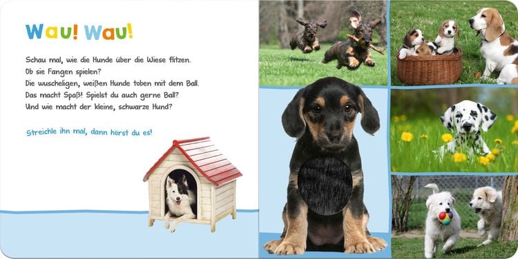 Hör mal rein, wer kann das sein? – Lieblingstiere