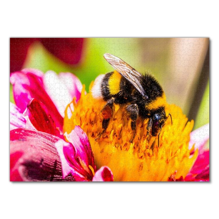Produktbild: Lais Puzzle Hummel auf Hortensie 1000 Teile