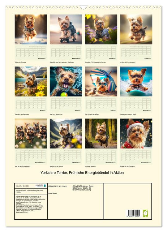 Produktbild: Yorkshire Terrier. Fr&ouml;hliche Energieb&uuml;ndel in Aktion (Wandkalender 2026 DIN A2 hoch), CALVENDO Monatskalender