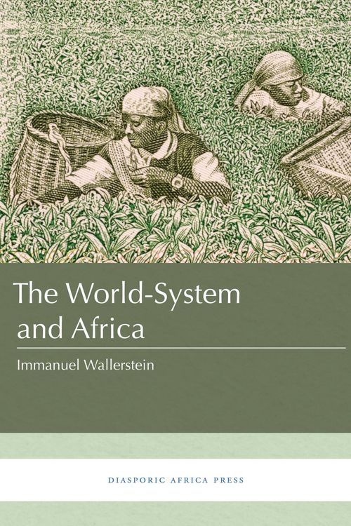 Produktbild: The World-System and Africa