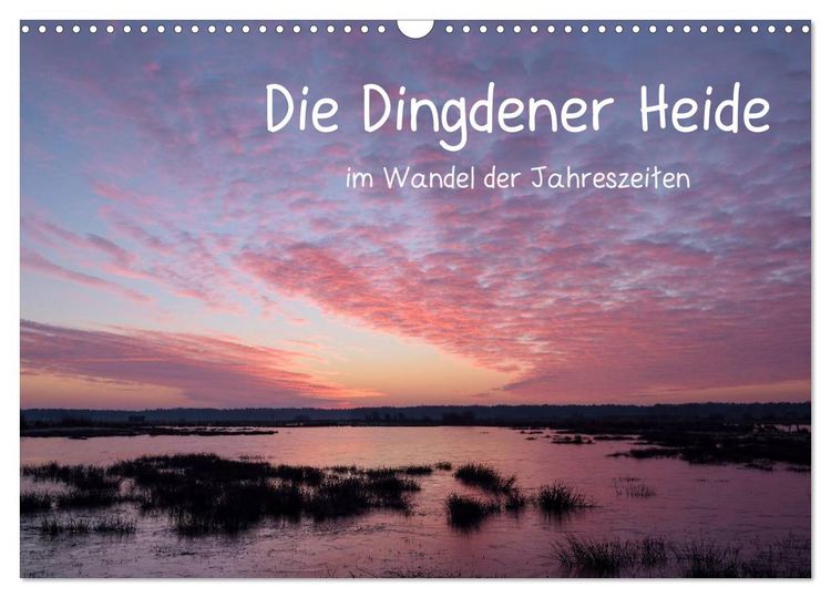 Produktbild: Die Dingdener Heide im Wandel der Jahreszeiten (Wandkalender 2026 DIN A3 quer), CALVENDO Monatskalender