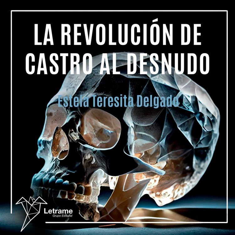 Produktbild: La revoluci&oacute;n de Castro al desnudo