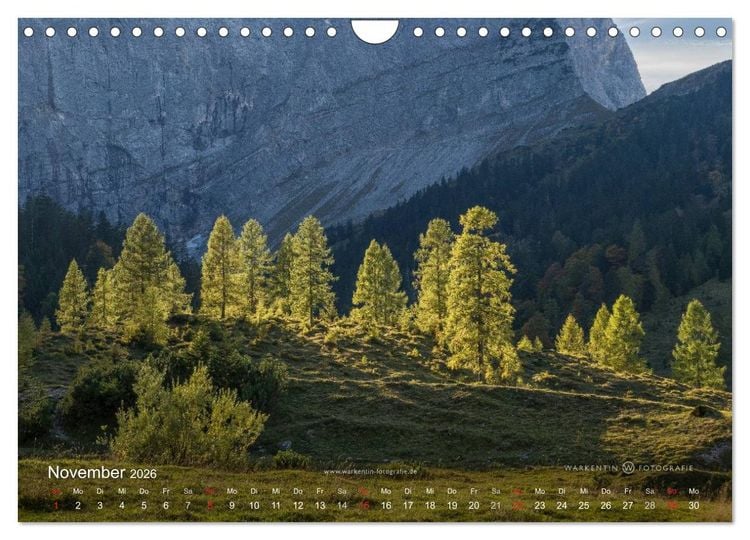 Produktbild: Gro&szlig;er Ahornboden - Europas gro&szlig;er Ahornwald (Wandkalender 2026 DIN A4 quer), CALVENDO Monatskalender