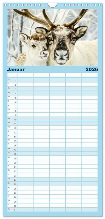 Produktbild: Familienplaner 2026 - Tierkinder des Nordens mit 5 Spalten (Wandkalender, 21 x 45 cm) CALVENDO