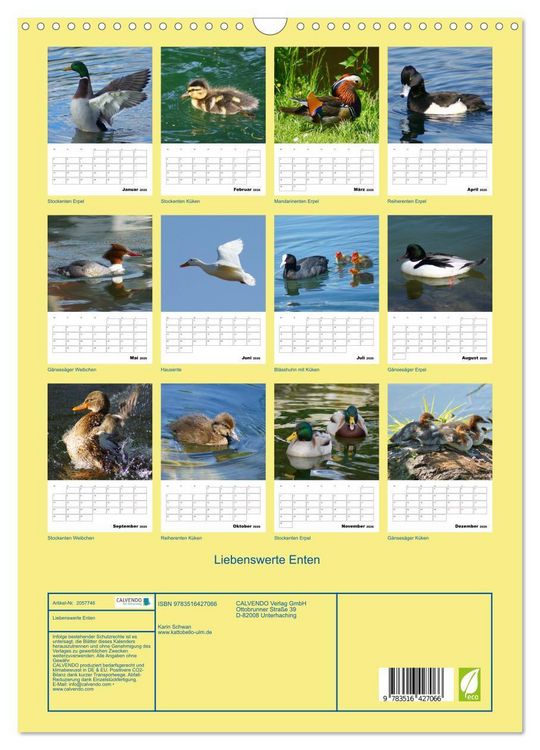 Produktbild: Liebenswerte Enten (Wandkalender 2026 DIN A3 hoch), CALVENDO Monatskalender