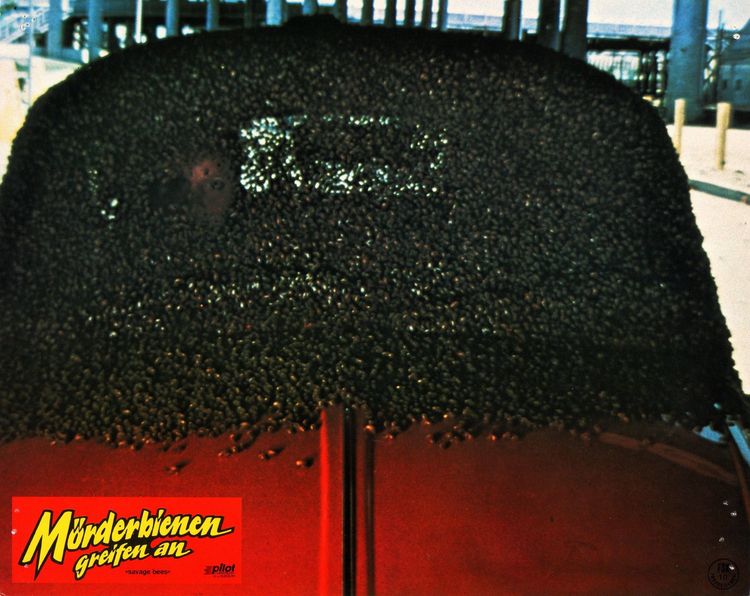 Produktbild: Killerbienen I - Die M&ouml;rderbienen greifen an (The Savage Bees) (Filmjuwelen)