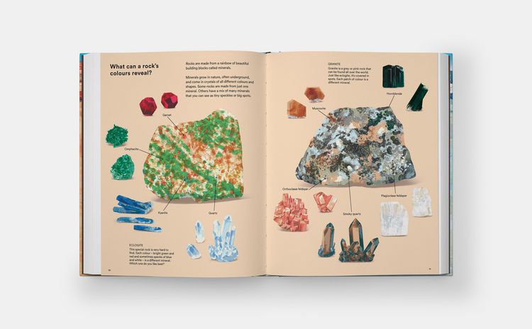 Produktbild: What a Rock Can Reveal