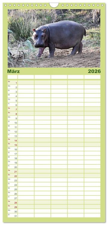 Produktbild: Familienplaner 2026 - Nilpferde, Kolosse im Wasser mit 5 Spalten (Wandkalender, 21 x 45 cm) CALVENDO
