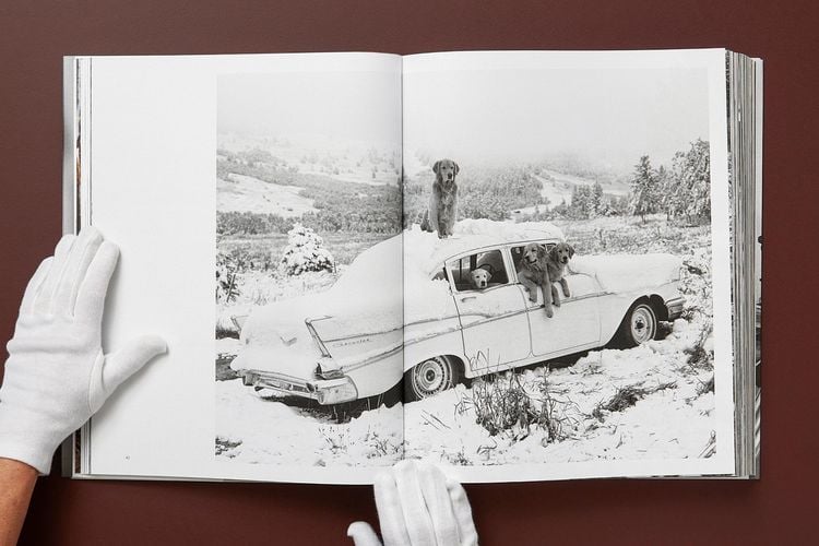 Produktbild: Bruce Weber