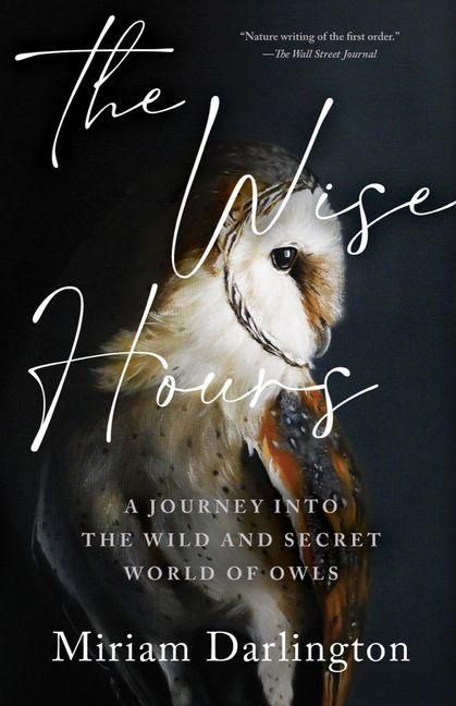 Produktbild: The Wise Hours