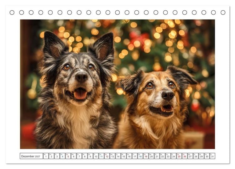 Produktbild: WUFF und WOW (Tischkalender 2027 DIN A5 quer), CALVENDO Monatskalender