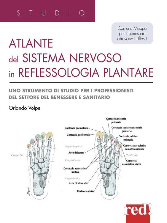 Produktbild: Atlante del sistema nervoso in reflessologia plantare. Uno strumento di studio per professionisti del settore del benessere e sanitario