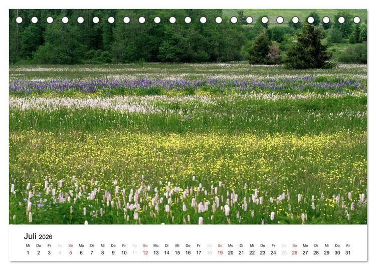 Produktbild: Naturerlebnis im Biosph&auml;renreservat Rh&ouml;n (Tischkalender 2026 DIN A5 quer), CALVENDO Monatskalender