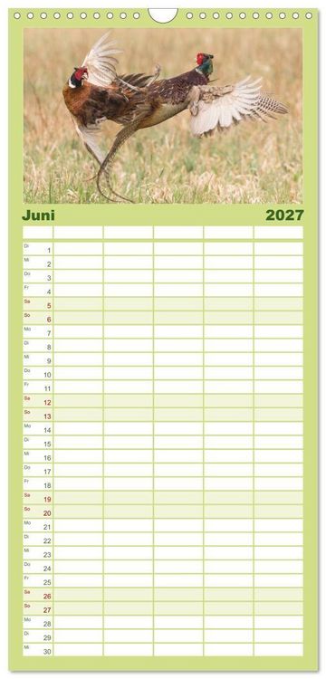 Produktbild: Familienplaner 2027 - Emotionale Momente: Wild und Jagd. mit 5 Spalten (Wandkalender, 21 x 45 cm) CALVENDO