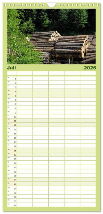 Produktbild: Familienplaner 2026 - Wald und Baum 2026 mit 5 Spalten (Wandkalender, 21 x 45 cm) CALVENDO
