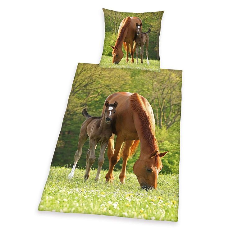 Produktbild: Bettw&auml;sche "Pferde"
