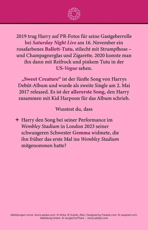 Produktbild: Fan-Box Harry Styles