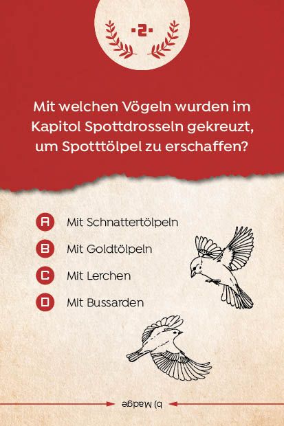 Produktbild: Kartenspiel: Das inoffizielle Quiz f&uuml;r Tribute von Panem-Fans
