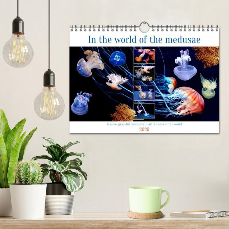 Produktbild: In the world of the medusae (Wall Calendar 2026 DIN A4 landscape), CALVENDO 12 Month Wall Calendar