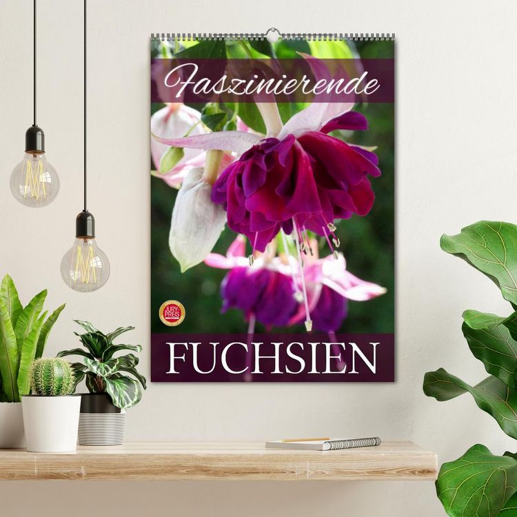 Produktbild: Faszinierende Fuchsien (Wandkalender 2026 DIN A2 hoch), CALVENDO Monatskalender