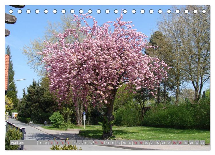 Produktbild: Bad Sassendorf (Tischkalender 2026 DIN A5 quer), CALVENDO Monatskalender