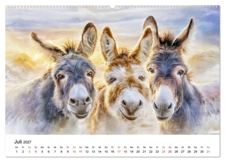 Produktbild: Esel - Wenn Ruhe ein Gesicht h&auml;tte (hochwertiger Premium Wandkalender 2027 DIN A2 quer), Kunstdruck in Hochglanz
