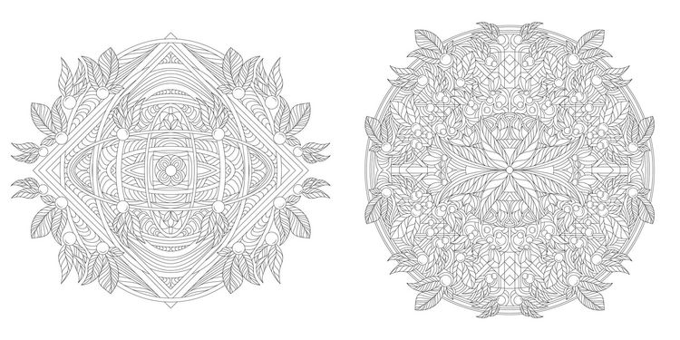 Produktbild: Floral Mandalas Colouring book