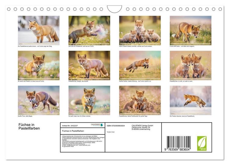 Produktbild: F&uuml;chse in Pastellfarben (Wandkalender 2027 DIN A4 quer), CALVENDO Monatskalender