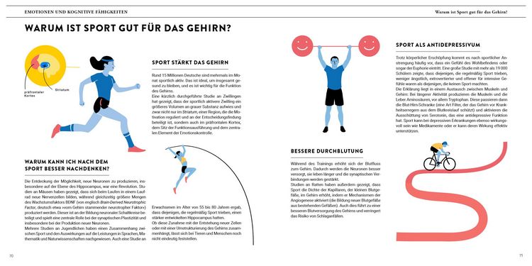 Produktbild: Eine Reise durch unser Gehirn
