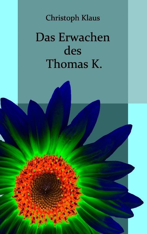 Produktbild: Das Erwachen des Thomas K.