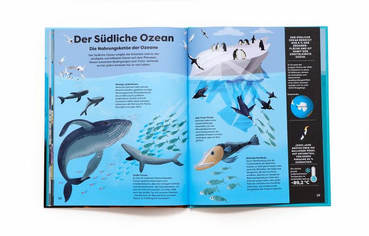 Produktbild: Unter der Lupe: Ozeane