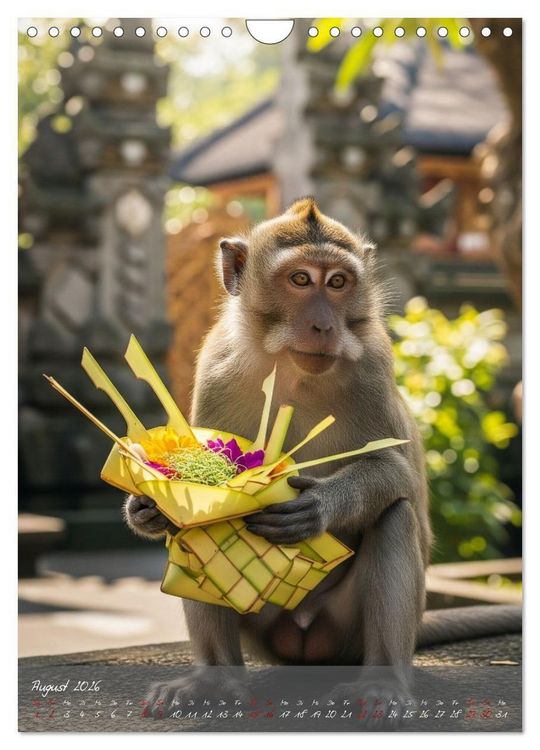 Produktbild: Bali - affengeil (Wandkalender 2026 DIN A4 hoch), CALVENDO Monatskalender