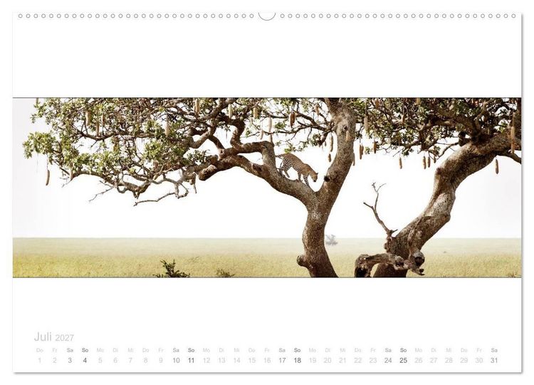Produktbild: Serengeti Panorama (Wandkalender 2027 DIN A2 quer), CALVENDO Monatskalender