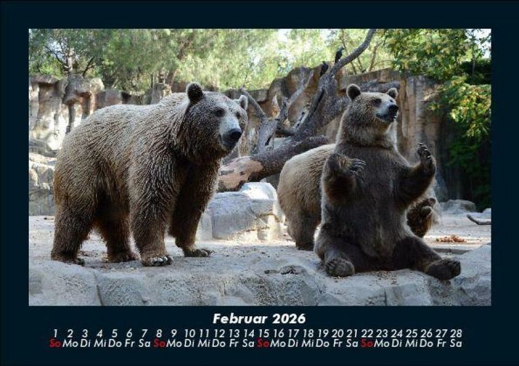 Produktbild: Der Tierkalender 2026 Fotokalender DIN A5