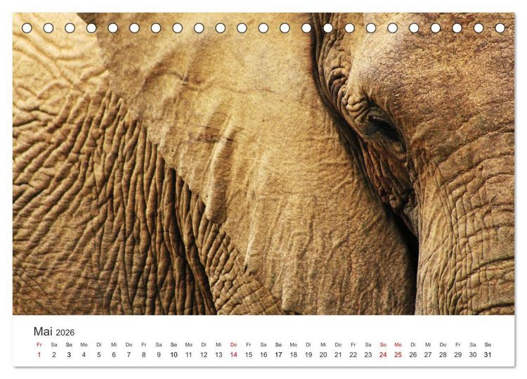 Produktbild: Bezauberndes S&uuml;dafrika (Tischkalender 2026 DIN A5 quer), CALVENDO Monatskalender