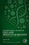 Produktbild: Epigenetic Regulation of Cancer - Part A: Volume 380