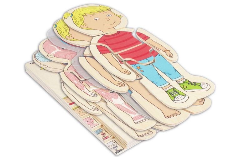 Produktbild: Lagen-Puzzle "Dein K&ouml;rper" M&auml;dchen / 29 Teile