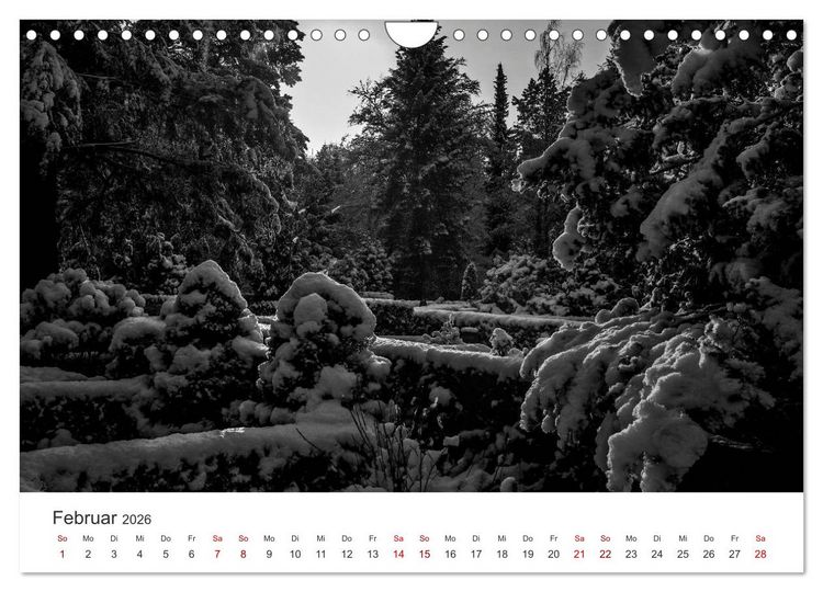 Produktbild: Wachgek&uuml;sst - Vom Zauber der Vergangenheit - S&uuml;dwestkirchhof Stahnsdorf (Wandkalender 2026 DIN A4 quer), CALVENDO Monatskalender