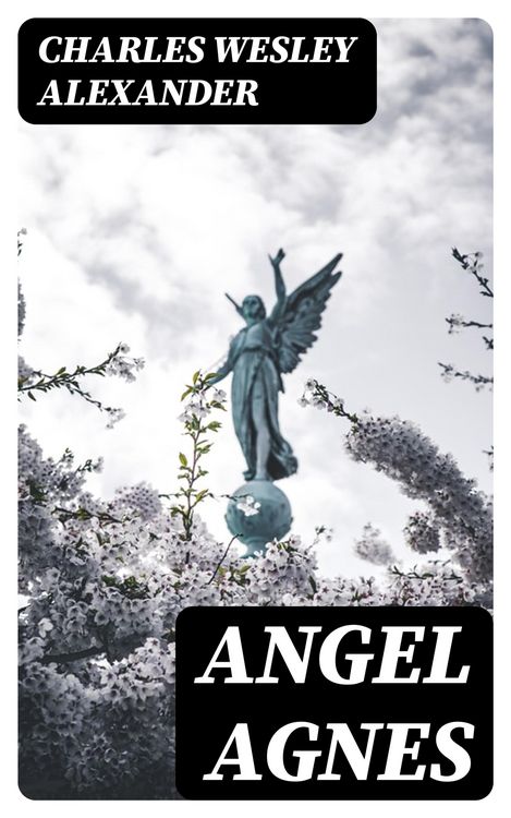 Produktbild: Angel Agnes
