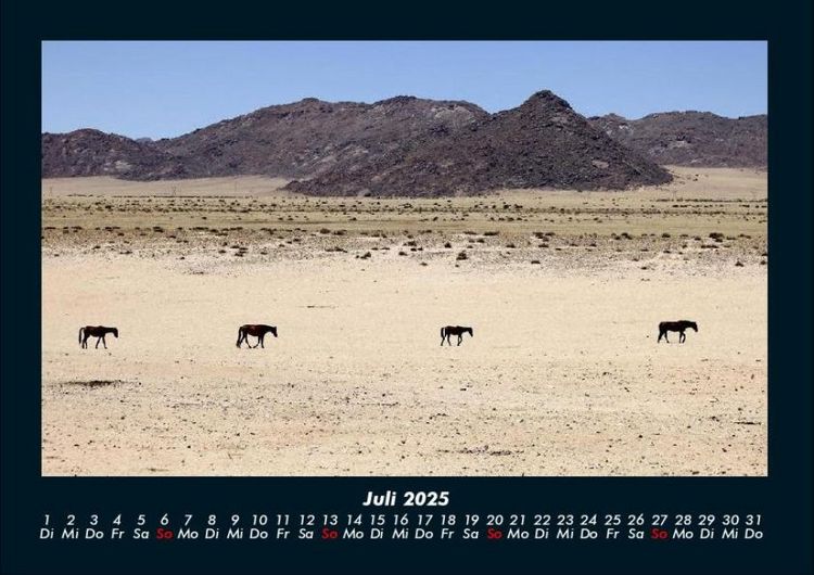 Produktbild: Die Welt der Pferde 2025 Fotokalender DIN A4